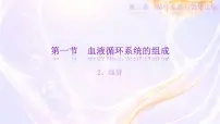 初中生物冀少版(2024)七年级下册(2024)血液评课ppt课件