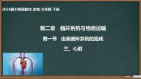 初中生物冀少版（2024）七年级下册（2024）血液授课ppt课件