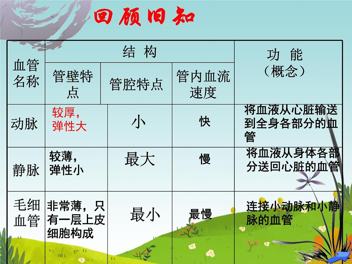 初中 生物 冀少版(2024) 七年级下册3.2.1.3 血液循环系统的组成(心脏) 课件第3页