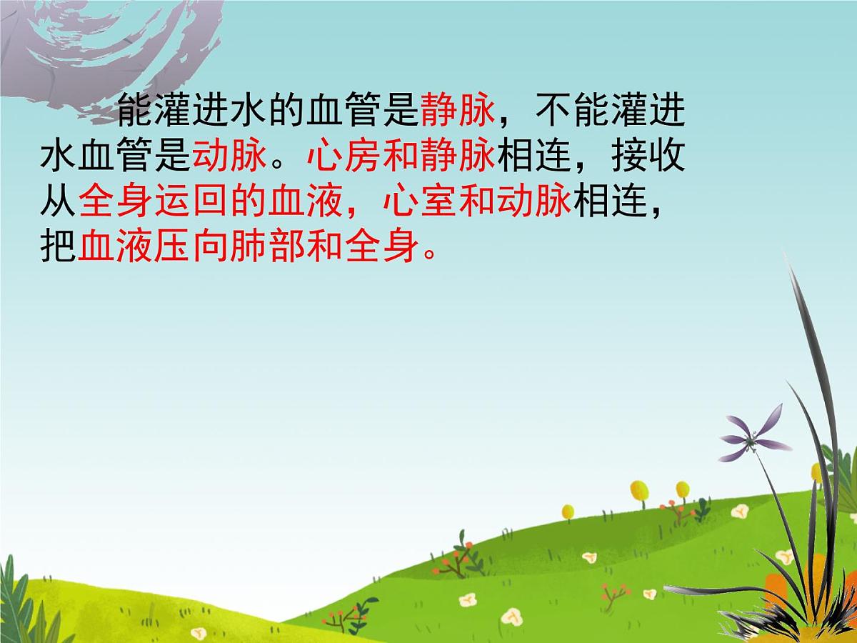 初中 生物 冀少版(2024) 七年级下册3.2.1.3 血液循环系统的组成(心脏) 课件第8页