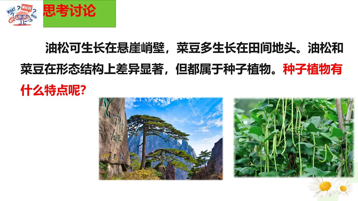 冀少版(2024)七上生物2.1.2.2 植物2 课件第2页