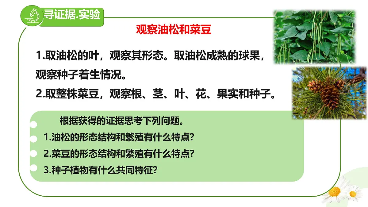 冀少版(2024)七上生物2.1.2.2 植物2 课件第3页