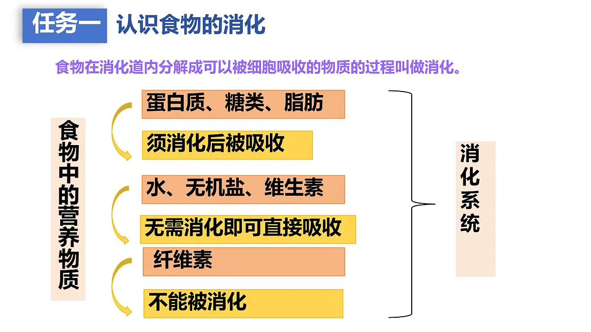 初中 生物 人教版(2024)七年级下册4.2.2 消化和吸收 课件第3页