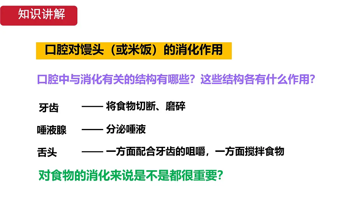 初中 生物 人教版(2024)七年级下册4.2.2 消化和吸收 课件第7页