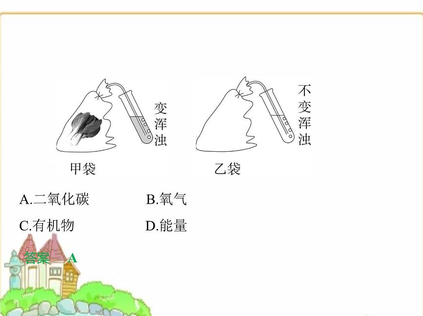 蘇科版七年級生物下冊第5單元植物的生活第12章第2節(jié)第2課時呼吸作用的原理及在生產(chǎn)生活中的應(yīng)用課件第3頁
