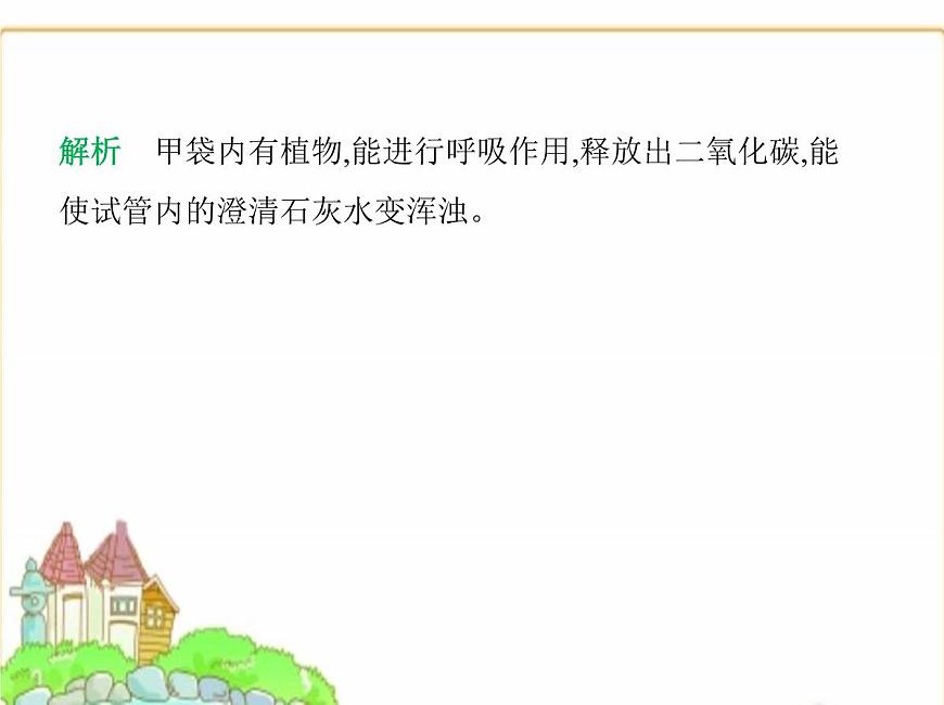 蘇科版七年級生物下冊第5單元植物的生活第12章第2節(jié)第2課時呼吸作用的原理及在生產(chǎn)生活中的應(yīng)用課件第4頁