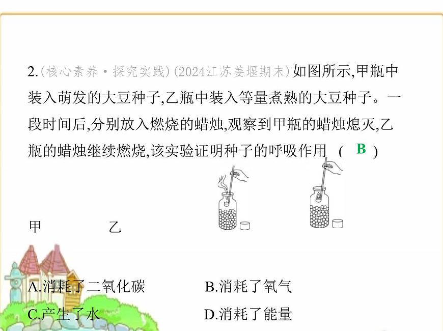 蘇科版七年級生物下冊第5單元植物的生活第12章第2節(jié)第2課時呼吸作用的原理及在生產(chǎn)生活中的應(yīng)用課件第5頁