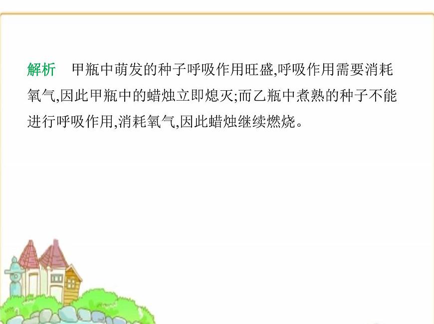 蘇科版七年級生物下冊第5單元植物的生活第12章第2節(jié)第2課時呼吸作用的原理及在生產(chǎn)生活中的應(yīng)用課件第6頁