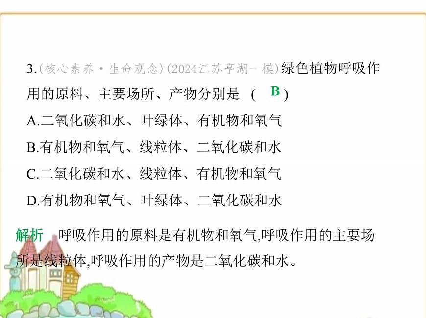 蘇科版七年級生物下冊第5單元植物的生活第12章第2節(jié)第2課時呼吸作用的原理及在生產(chǎn)生活中的應(yīng)用課件第7頁