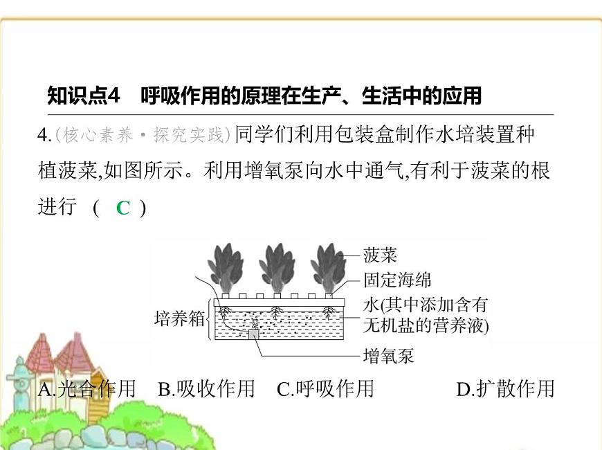 蘇科版七年級生物下冊第5單元植物的生活第12章第2節(jié)第2課時呼吸作用的原理及在生產(chǎn)生活中的應(yīng)用課件第8頁