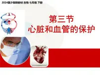 初中生物冀少版(2024)七年级下册(2024)心脏和血管的保护课前预习ppt课件