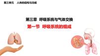 冀少版(2024)七年级下册(2024)呼吸系统的组成课堂教学课件ppt