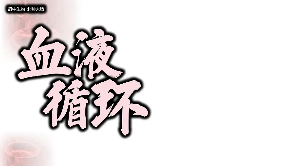 初中 生物 北师大版(2024)七年级下册4.7.2 血液循环 课件第1页