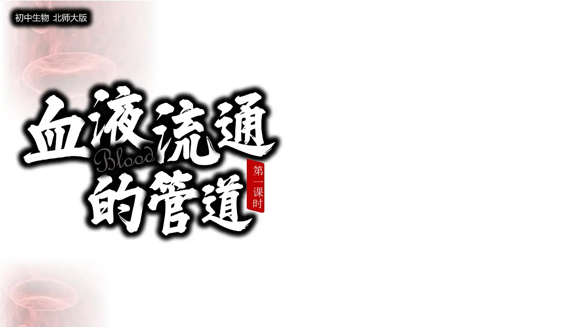 初中 生物 北师大版(2024)七年级下册4.7.2 血液循环 课件第2页