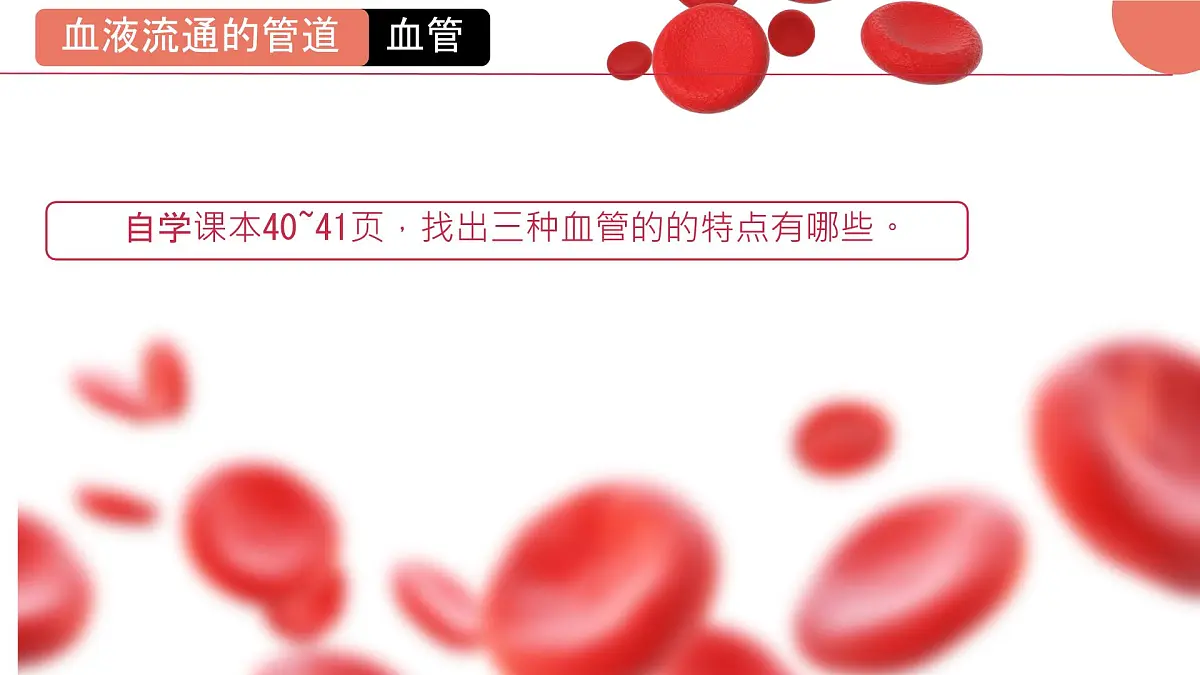 初中 生物 北师大版(2024)七年级下册4.7.2 血液循环 课件第4页