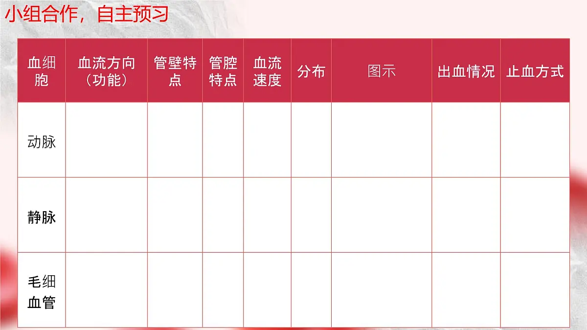 初中 生物 北师大版(2024)七年级下册4.7.2 血液循环 课件第5页