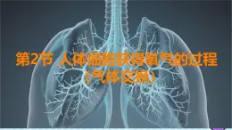初中 生物 北師大版（2024）七年级下册4.8.2 人体细胞获得氧气的过程 課件
