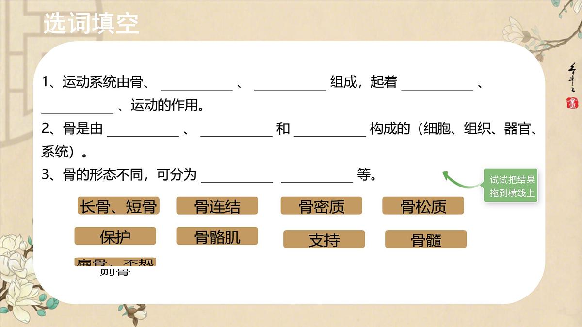 初中 生物 北师大版(2024)七年级下册4.11.2 人体的骨骼肌 课件第2页