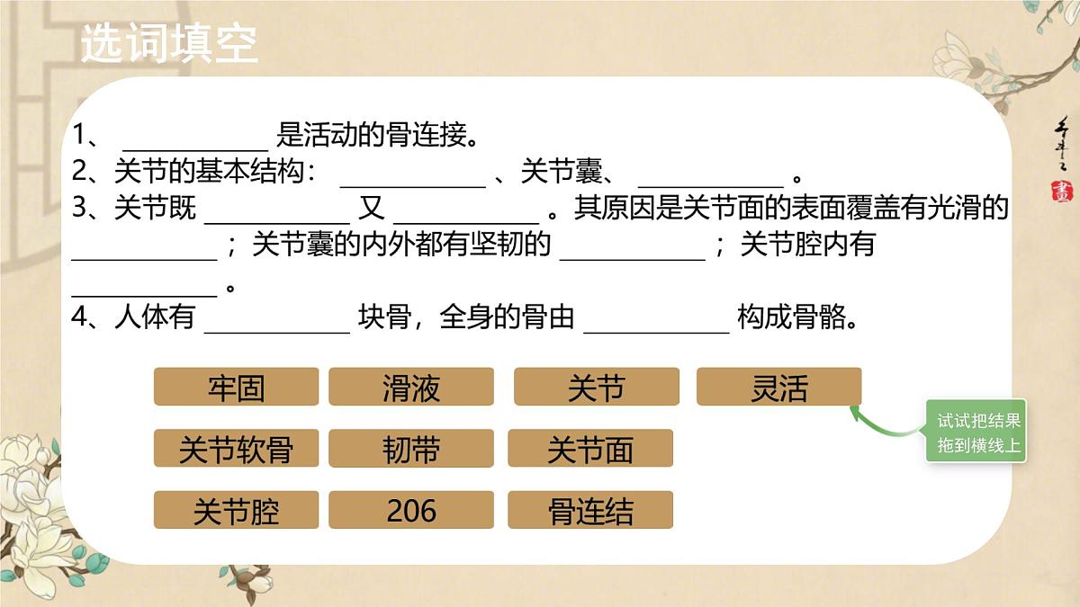 初中 生物 北师大版(2024)七年级下册4.11.2 人体的骨骼肌 课件第4页