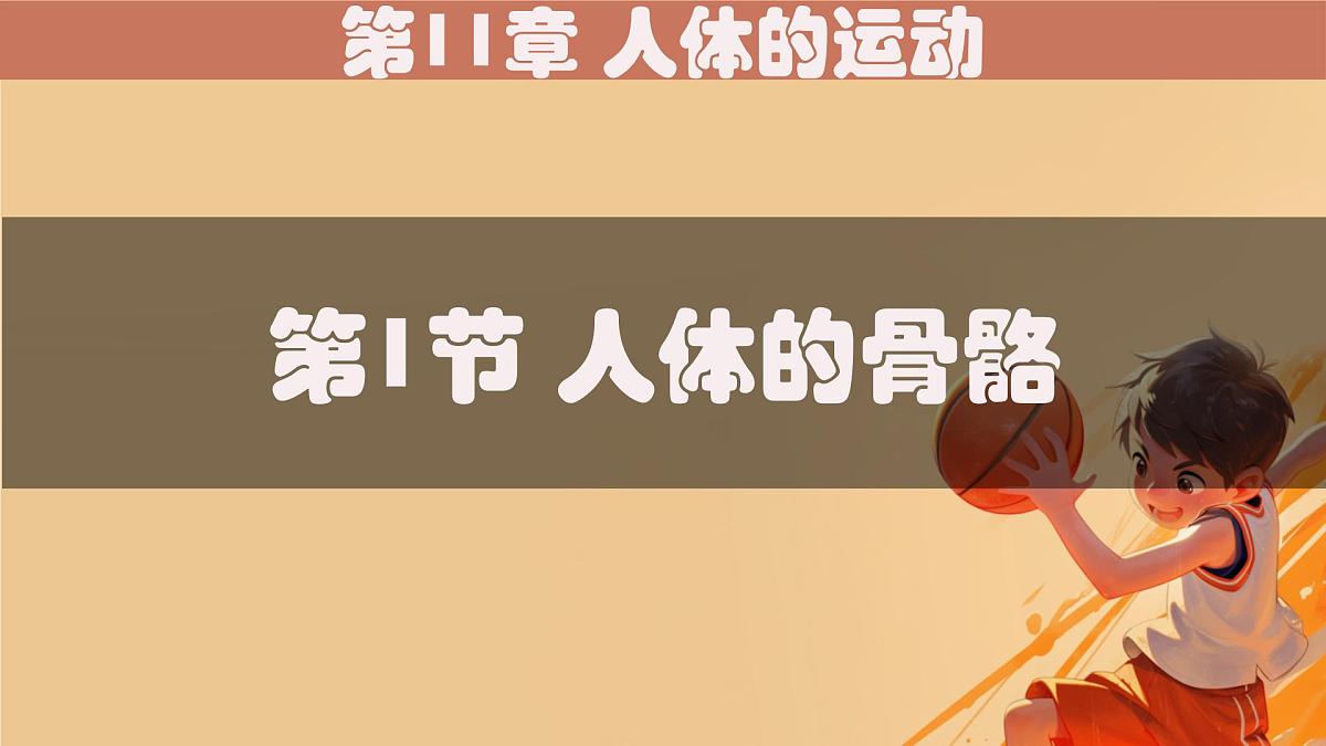 初中 生物 北师大版(2024)七年级下册4.11.1 人体的骨骼 课件第1页