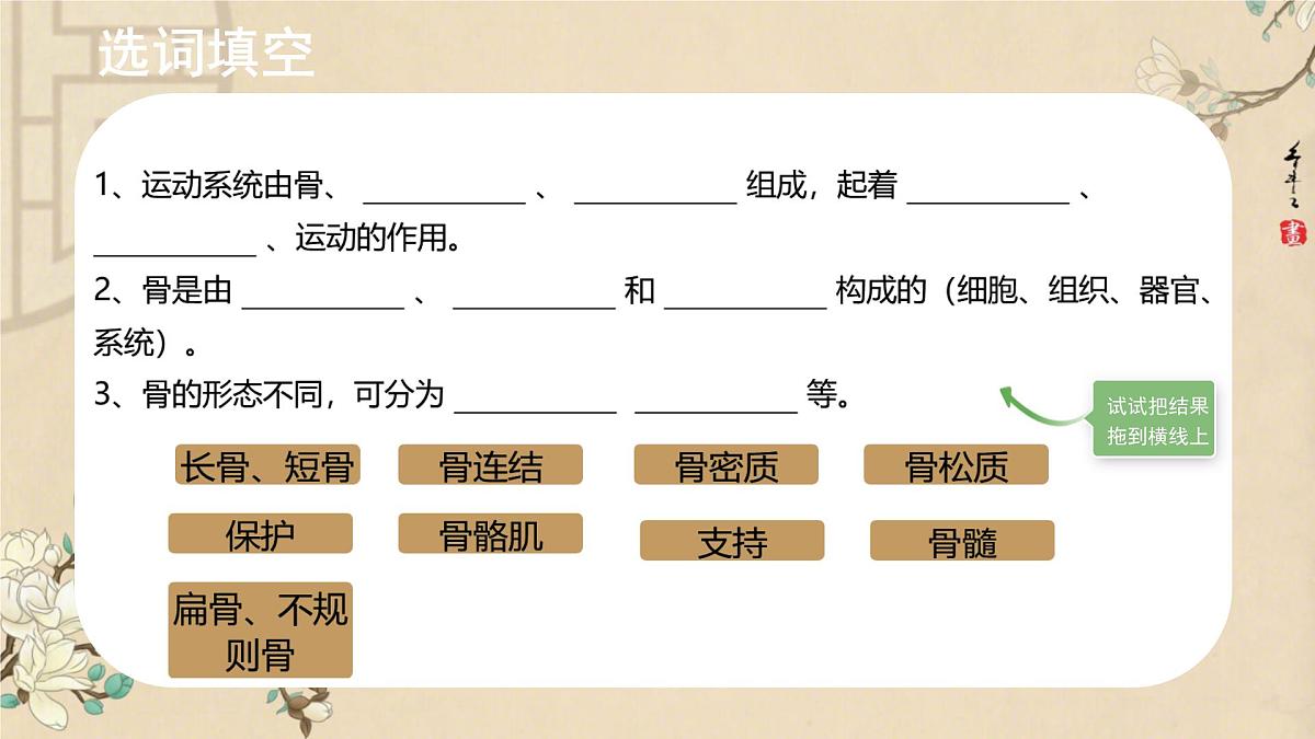 初中 生物 北师大版(2024)七年级下册4.11.1 人体的骨骼 课件第2页