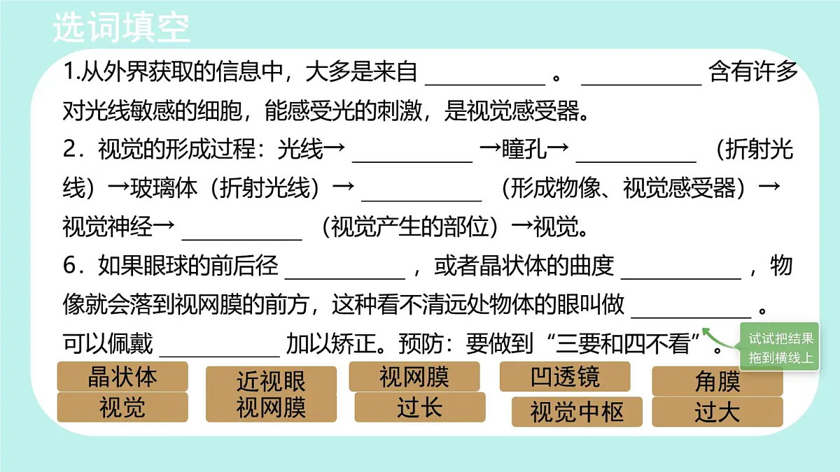 初中 生物 北师大版(2024)七年级下册4.10.2 感受器和感觉器官 课件第3页