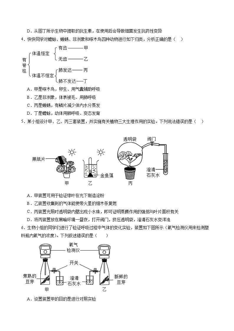 2025年中考第一次模拟考试卷:生物(济南卷)(原卷版)第2页