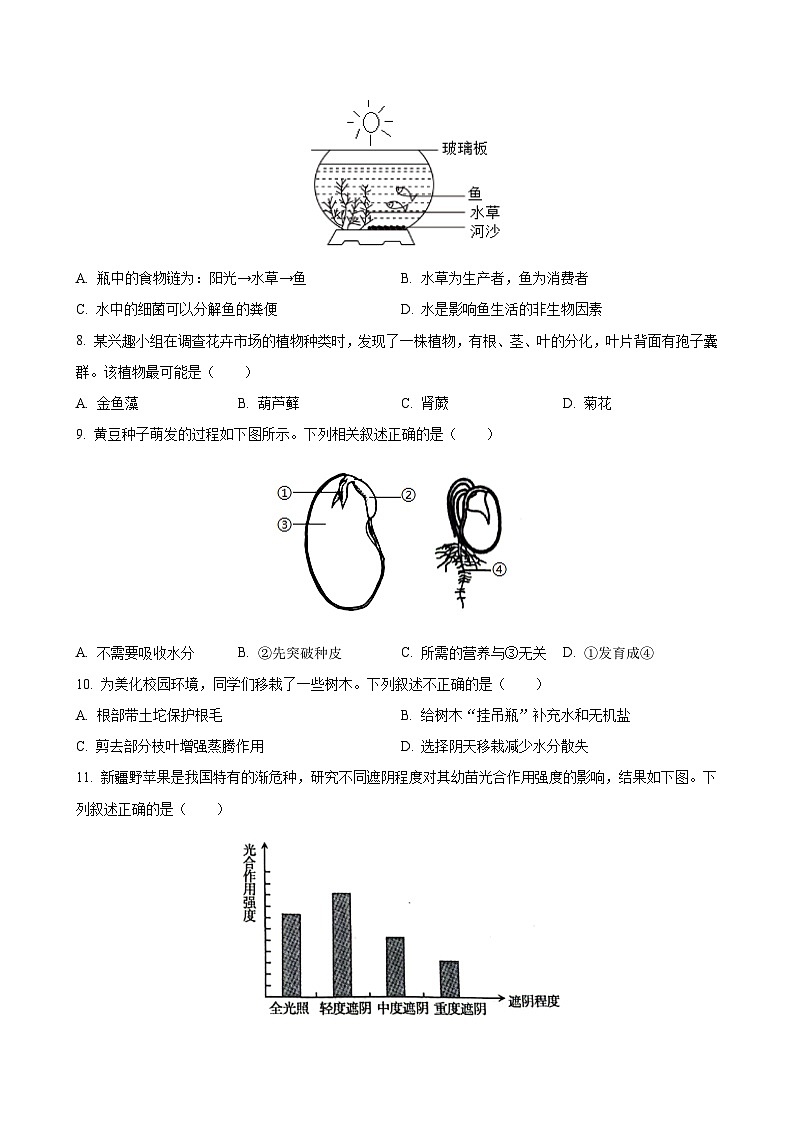 2024年新疆生產(chǎn)建設(shè)兵團(tuán)初中學(xué)業(yè)水平生物試題(含解析)第2頁(yè)