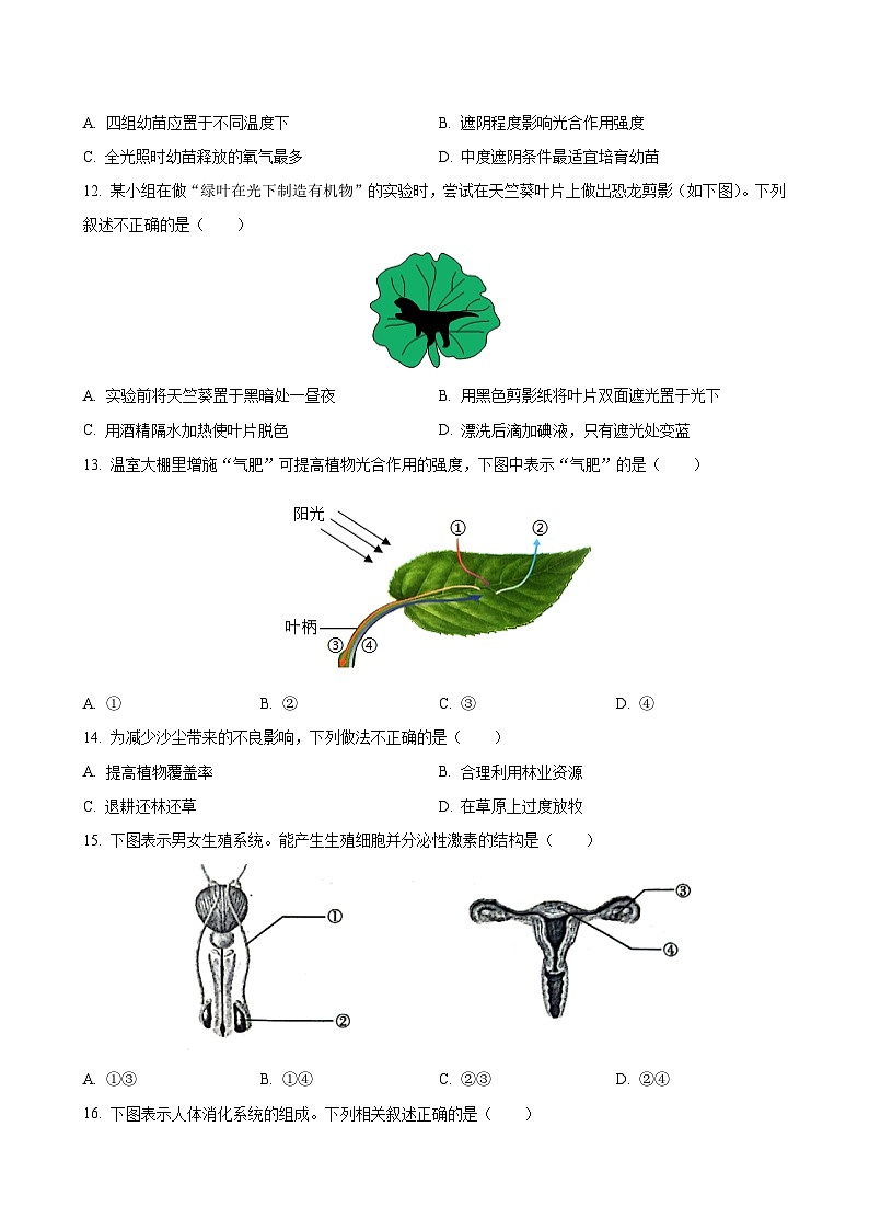 2024年新疆生產(chǎn)建設(shè)兵團(tuán)初中學(xué)業(yè)水平生物試題(含解析)第3頁(yè)