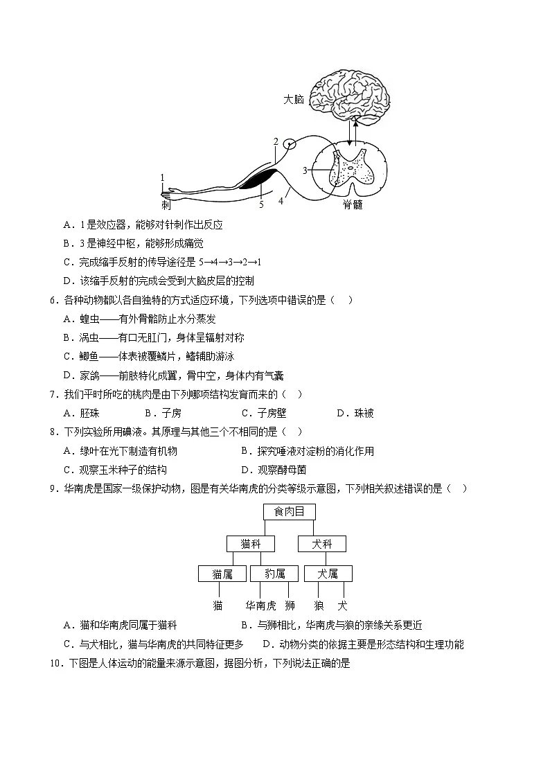 2025年中考第一次模拟考试卷:生物(甘肃卷)(原卷版)第2页