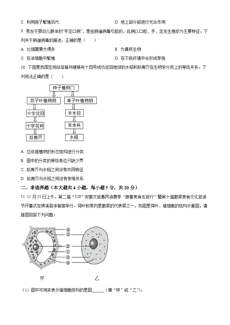 安徽省亳州市谯城区2024-2025学年七年级上学期期末生物试题(原卷版+解析版)第3页