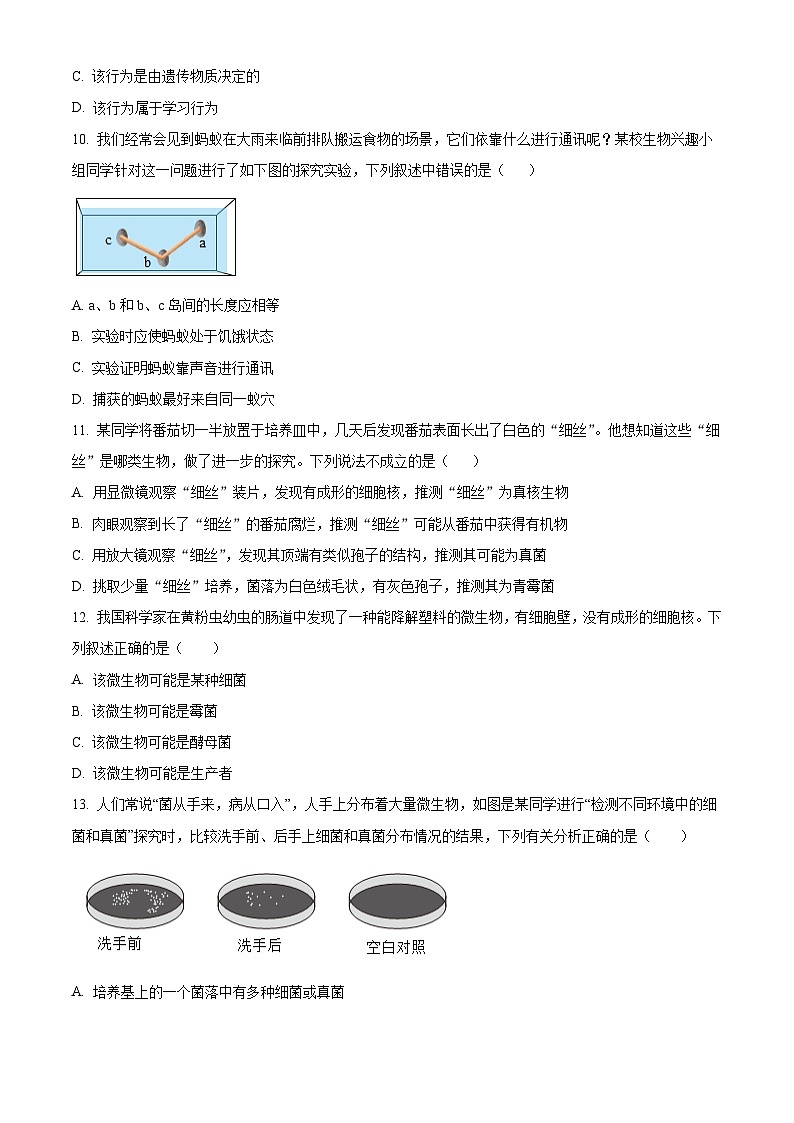 广东省河源市源城区2024-2025学年八年级上学期期末生物试题(原卷版+解析版)第3页