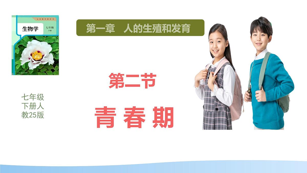 初中 生物 人教版(2024) 七年级下册(2024) 第四单元第二节 青春期 课件第1页