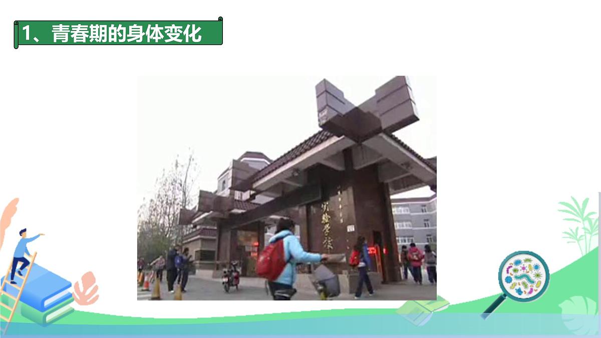 初中 生物 人教版(2024) 七年级下册(2024) 第四单元第二节 青春期 课件第6页