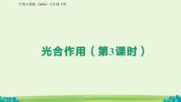人教版（2024）七年级下册（2024）光合作用课堂教学ppt课件