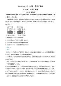 天津市第二中学2024-2025学年七年级下学期3月月考 生物试题（含解析）