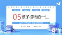 专题05 被子植物的一生（课件）-2025年中考生物一轮复习