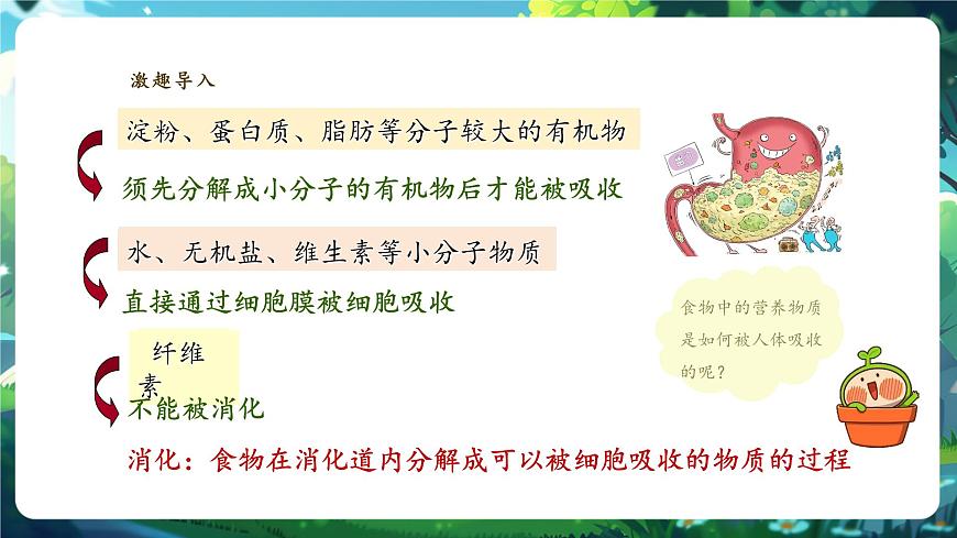 【大單元教學(xué)】人教版生物七下4.2.2消化和吸收 課件(共25張PPT)+視頻素材第5頁