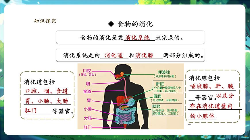 【大單元教學(xué)】人教版生物七下4.2.2消化和吸收 課件(共25張PPT)+視頻素材第6頁