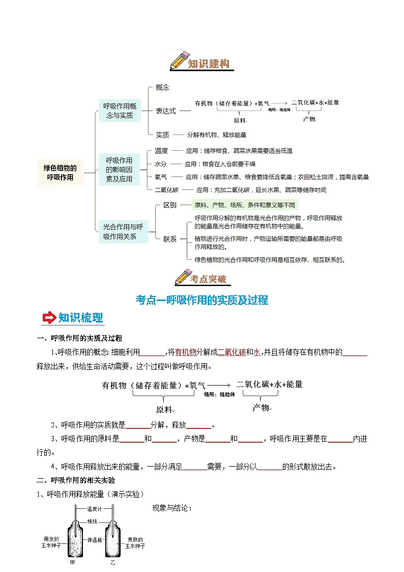 专题08 绿色植物的呼吸作用(讲义)-2025年中考生物一轮复习(学生版)第2页