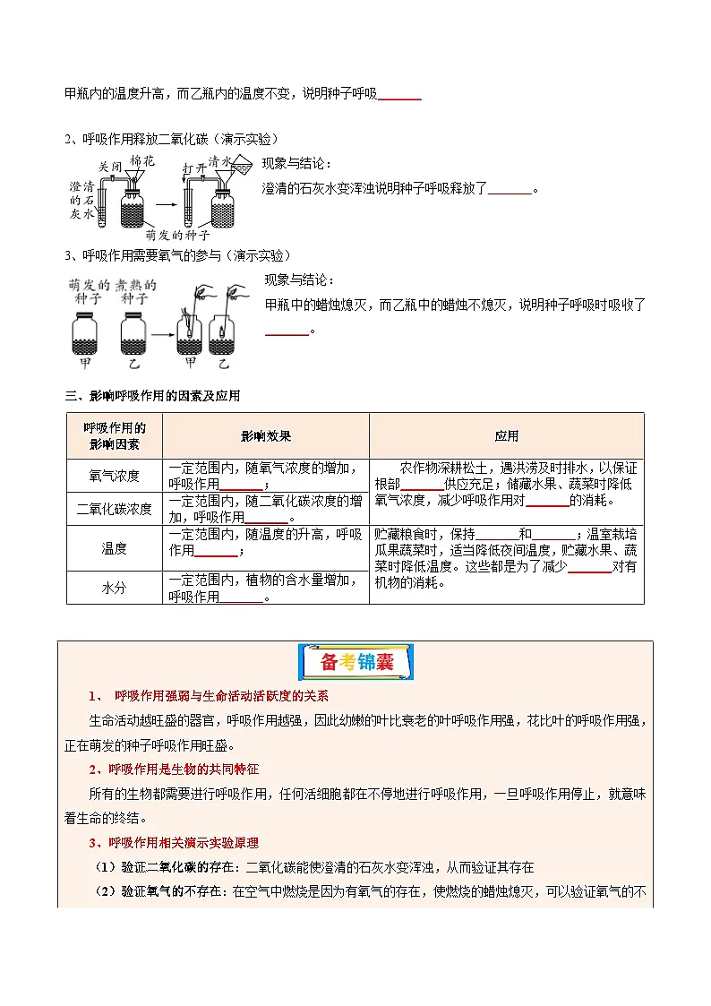 专题08 绿色植物的呼吸作用(讲义)-2025年中考生物一轮复习(学生版)第3页