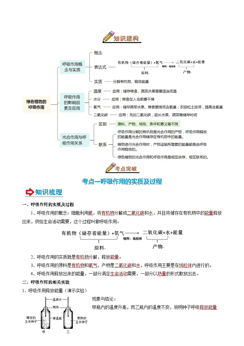 专题08 绿色植物的呼吸作用(讲义)-2025年中考生物一轮复习(教师版)第2页