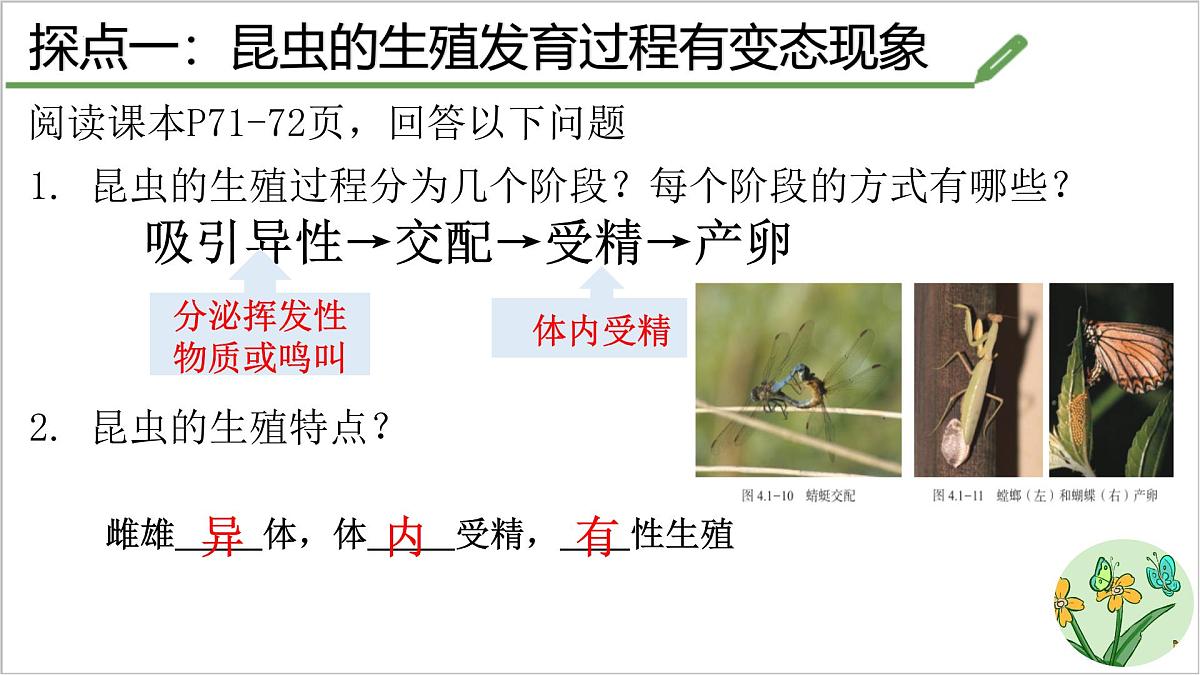 4.1.2 有性生殖增加了后代的多样性 课件 2025学年济南版生物七年级下册第5页