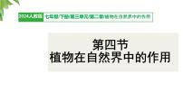 初中生物人教版(2024)七年级下册(2024)植物在自然界中的作用集体备课课件ppt