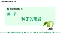 人教版（2024）七年级下册（2024）种子的萌发课前预习ppt课件
