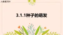 初中生物人教版（2024）七年级下册（2024）种子的萌发教学演示ppt课件