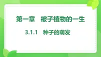 人教版（2024）七年级下册（2024）种子的萌发教课课件ppt