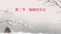 初中生物人教版（2024）七年级下册（2024）植株的生长课文课件ppt