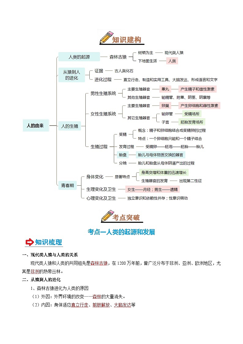 专题09 人的由来(讲义)-2025年中考生物一轮复习(教师版)第2页