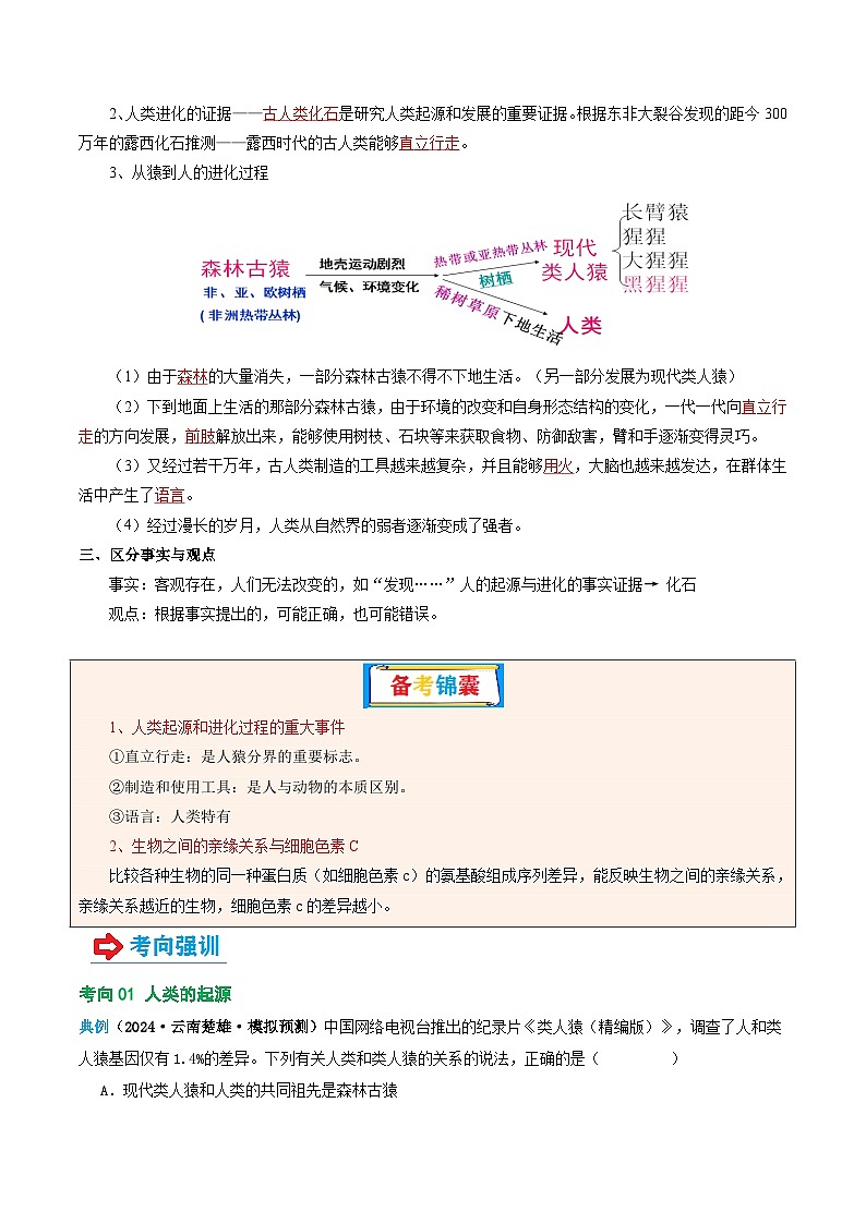 专题09 人的由来(讲义)-2025年中考生物一轮复习(教师版)第3页